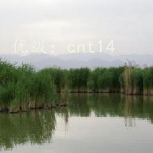 û