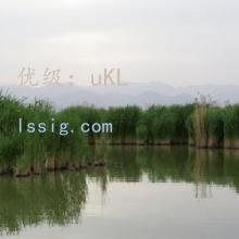 û